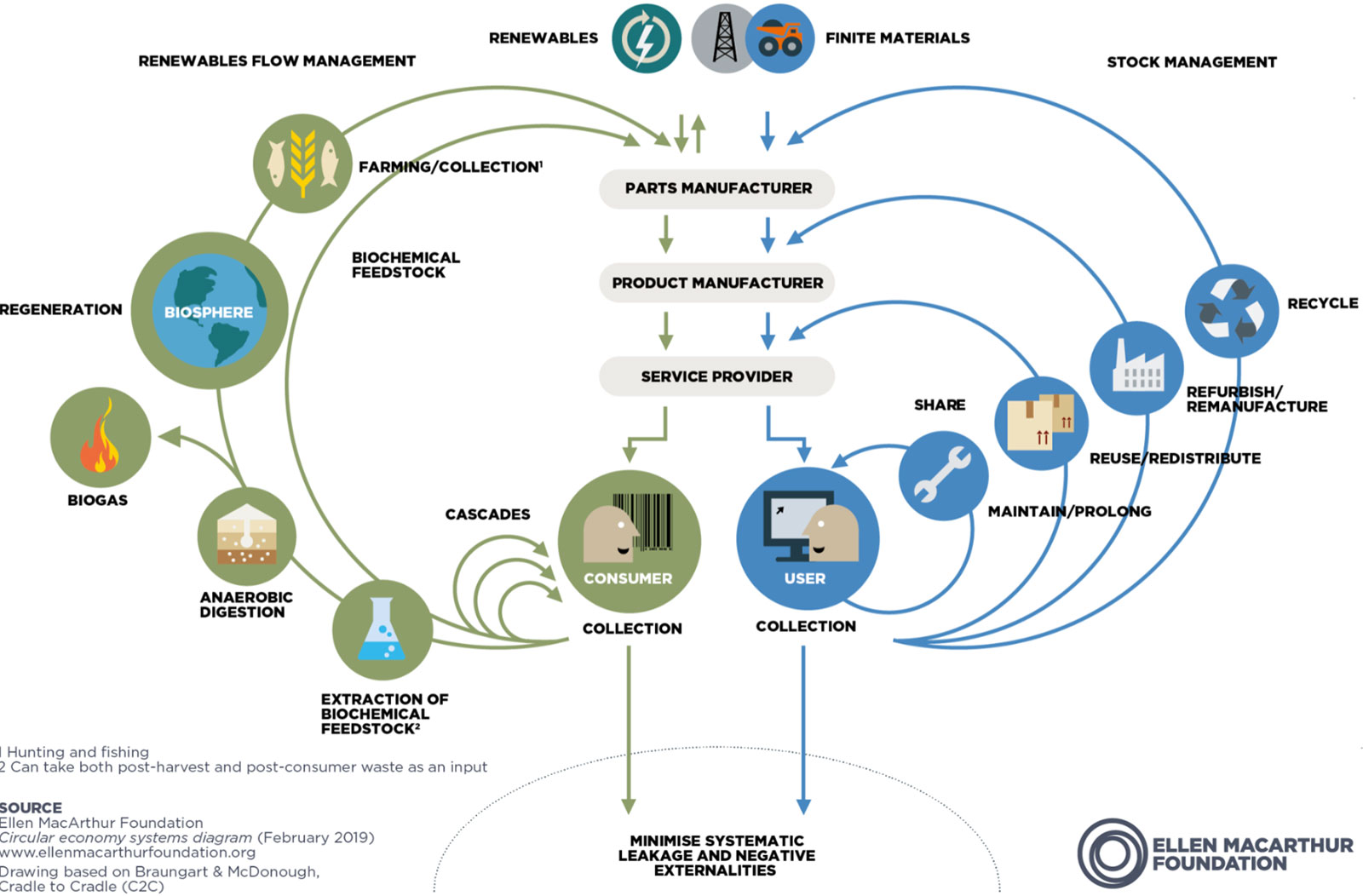 Ellen MacArthur Foundation Butterfly Diagram